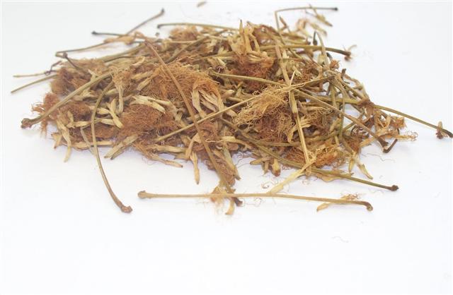 Albizia julibrissin 50g (Albícia kvet - Albície květ) 