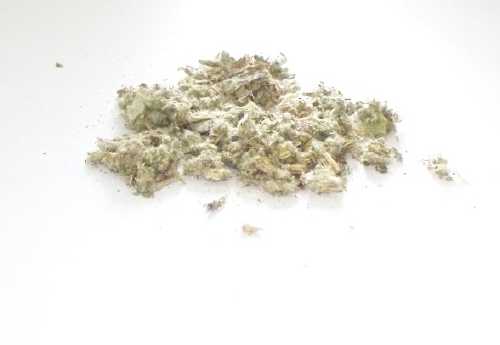 Artičok list 1000g (Artyčok zeleninový - Cynara scolymus) Artičok list 1000g (Artyčok zeleninový - Cynara scolymus)