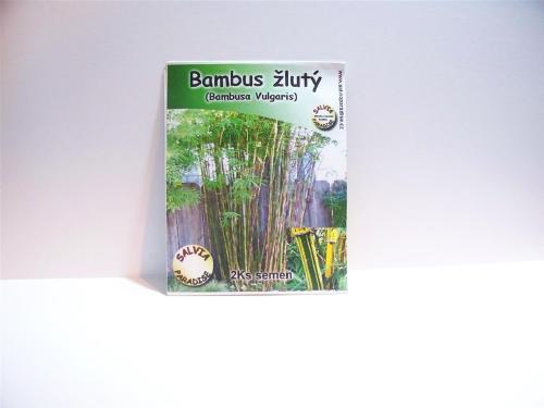 Bambus žltý 2 ks semená Bambus žltý 2 ks semená