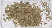 Damiana 10x extrakt 10g Damiana 10x extrakt 10g