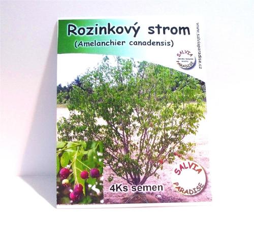 Hrozienkový strom 4 ks semiačok