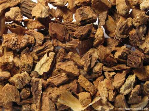 Kondurango kôra 1000g (Marsdenia cundurango) Kondurango kôra 1000g (Marsdenia cundurango)