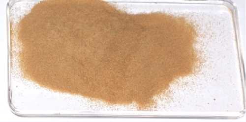 Kotvičník 40g Kotvičník 40g