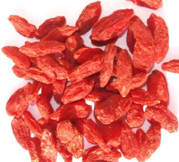 Kustovnica čínska Goji výber plodov 1000g Kustovnica čínska Goji výber plodov 1000g