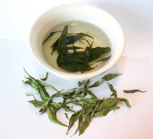 Kustovnica čínska Goji 25g (lycium chinense - GOJI)