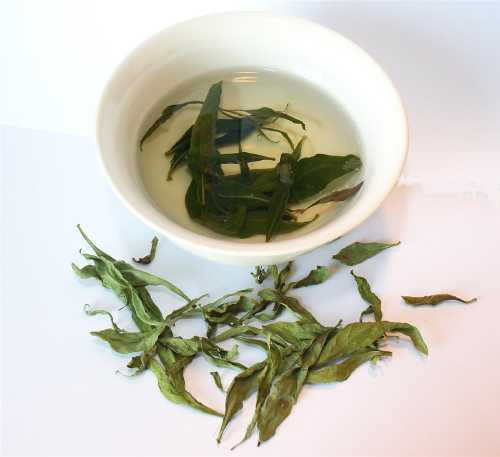 Kustovnica čínska Goji 25g (lycium chinense - GOJI) Kustovnica čínska Goji 25g (lycium chinense - GOJI)