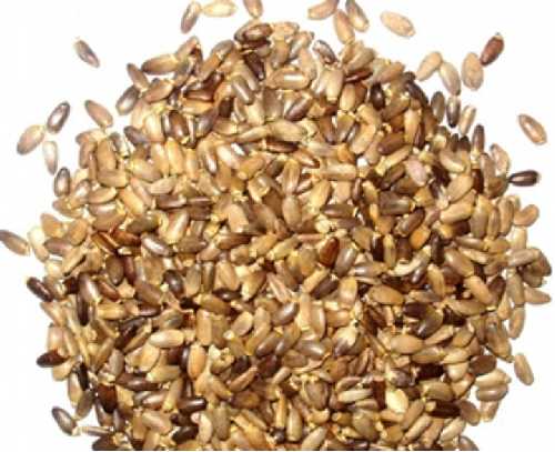 Ostropestrec mariánsky 1000g Ostropestrec mariánsky 1000g