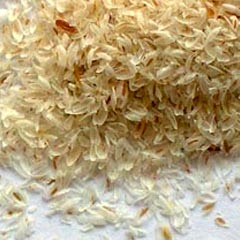 Psylium vláknina biele 1000g Psylium vláknina biele 1000g
