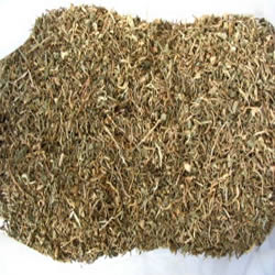Gotu kola vňať 1000g (Gotu kola - pupečník asijský) Gotu kola vňať 1000g (Gotu kola - pupečník asijský)