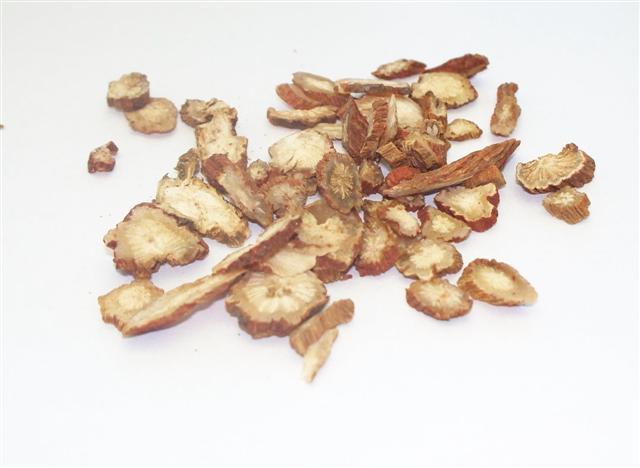 Šalvia cervenokorenitá koreň 50g Šalvia cervenokorenitá koreň 50g