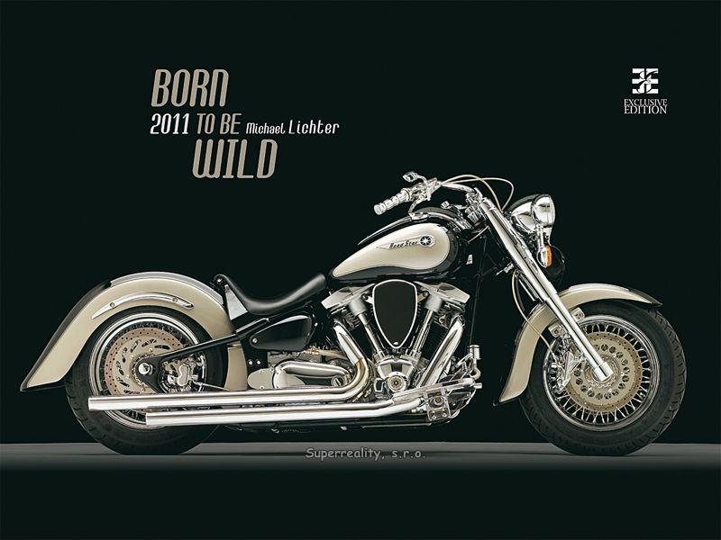 BORN TO BE WILD/11, nástenný kalendár, 560x420 mm